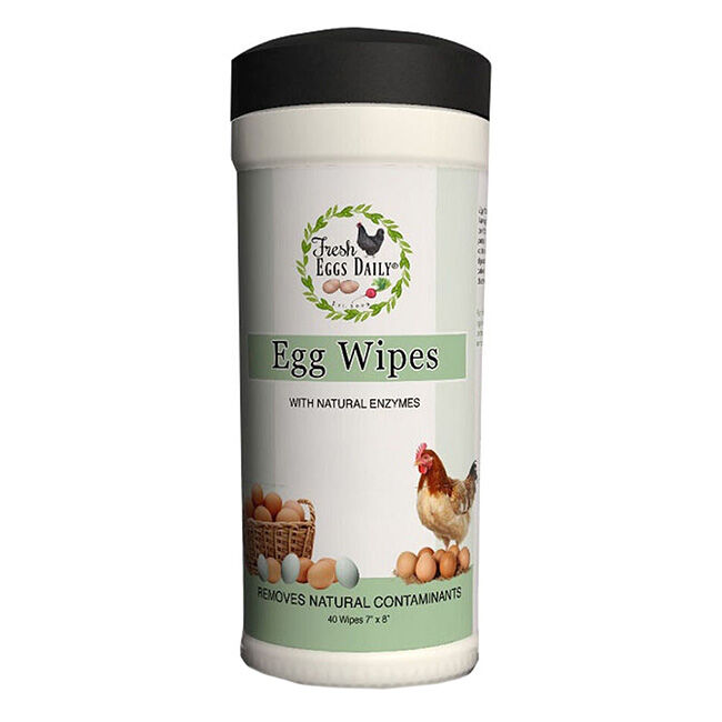 Fresh Eggs Daily Egg Wipes - 40-Count image number null