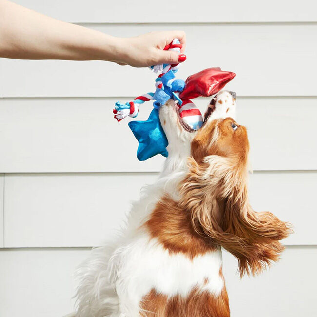 Bark Plush Dog Toy - Star Spangles image number null