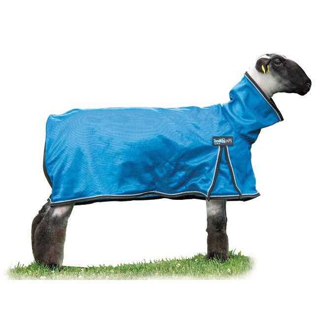 Weaver Livestock ProCool Sheep Blanket with Reflective Piping image number null