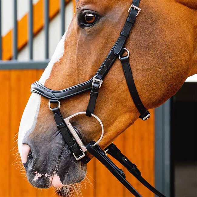 Horseware Rambo Micklem 2 Deluxe Competition Bridle image number null