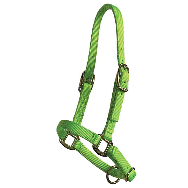 Triple E Adjustable Nylon Foal Halter image number null