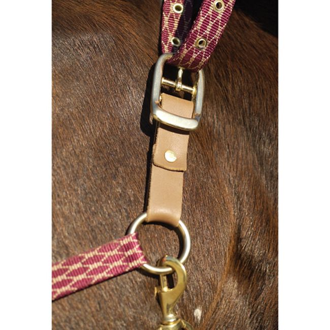 Centaur Leather Breakaway Fuse image number null