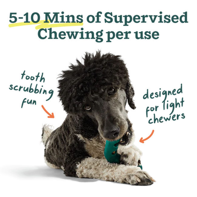 Woof Bite n' Brush Refill Treats - Beef Recipe - 18-Pack image number null