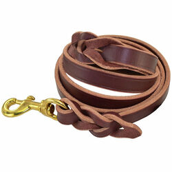 Ray Allen Braided Leather Leash