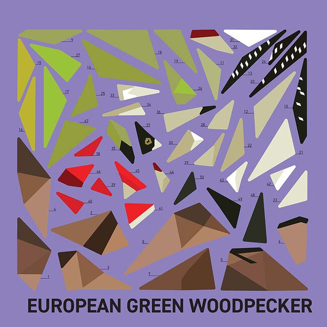 My Sticker Paintings: Birds: 10 Magnificent Paintings for Kids 6-10 image number null