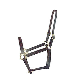 Intrepid International Miniature Horse Leather Halter - Mini Class A