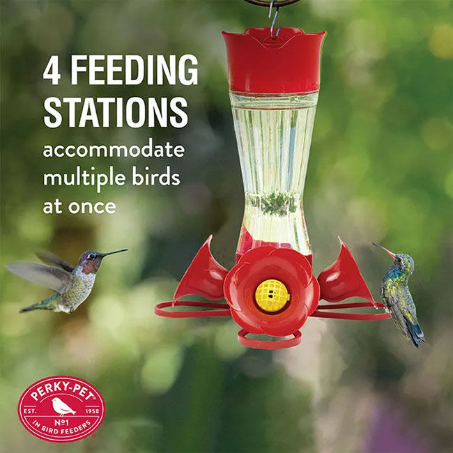 Perky-Pet Pinch-Waist Glass Hummingbird Feeder - Clear - 8 oz image number null