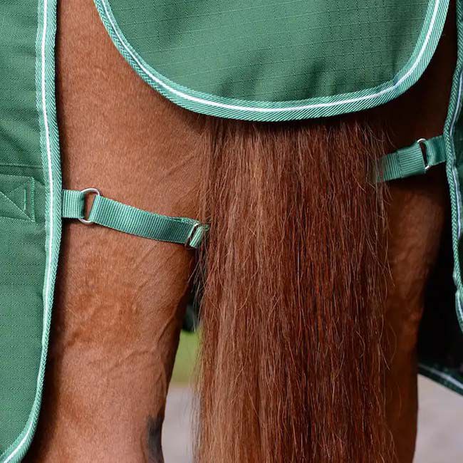 Saxon Defiant 1200D Standard Neck Medium - Hunter Green/White image number null