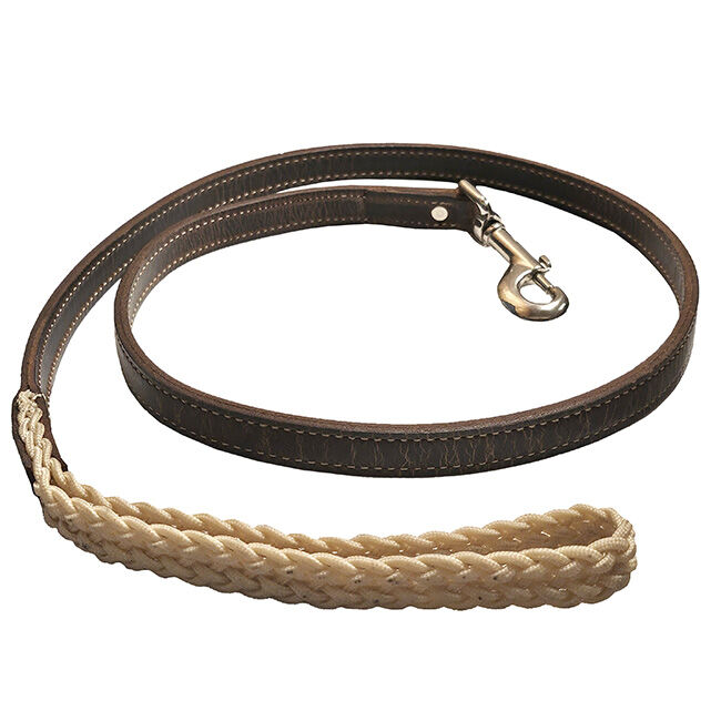 Tory Leather Braided Waxed Canvas Dog Leash - Brown image number null