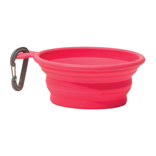 Messy Mutts 1.75 Cup Capacity Collapsible Silicone Travel Bowl - Watermelon image number null