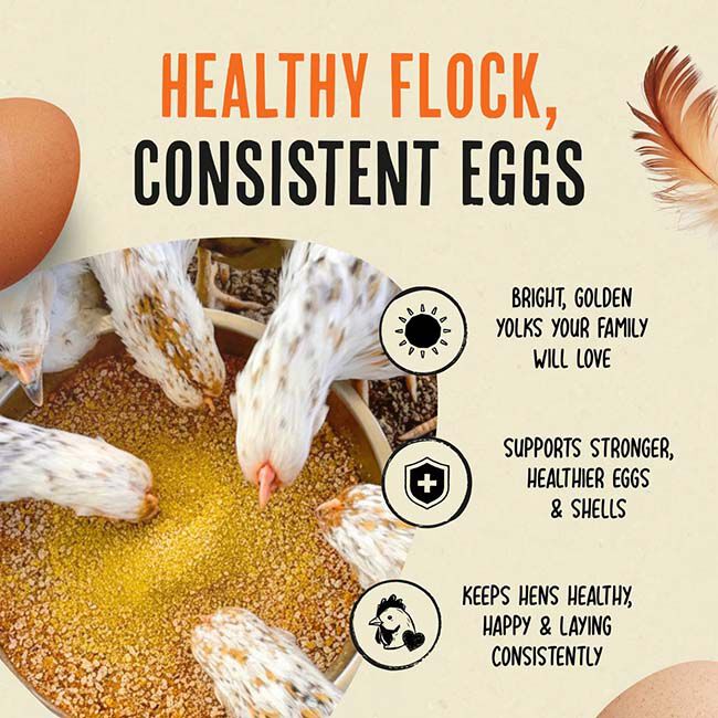 Roosty's Gold Dust - Daily Egg Booster - 1 lb image number null