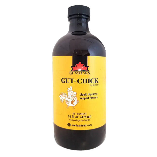 Semican Gut-Chick - Liquid Digestive Support for Poultry - 16 oz image number null