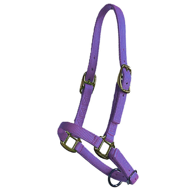 Triple E Adjustable Nylon Foal Halter image number null
