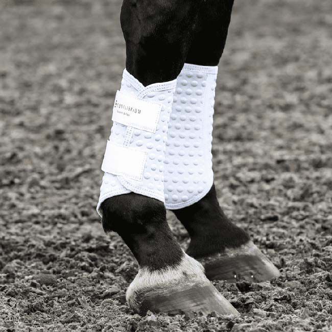 Equilibrium Stretch & Flex Flatwork Leg Wraps (New Version) image number null