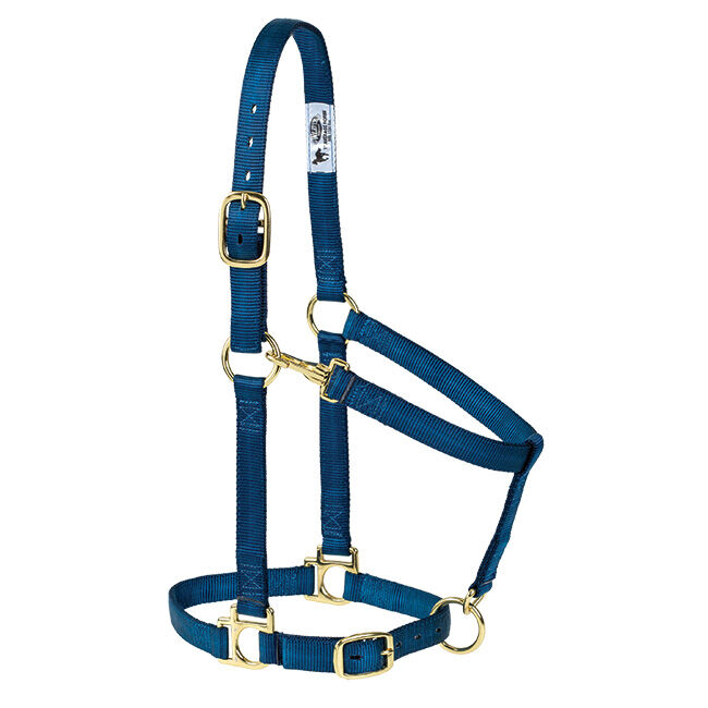 Weaver Equine Poly Adjustable Halter image number null
