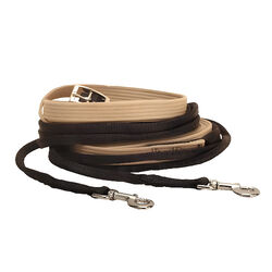 Tory Leather Web Driving Reins