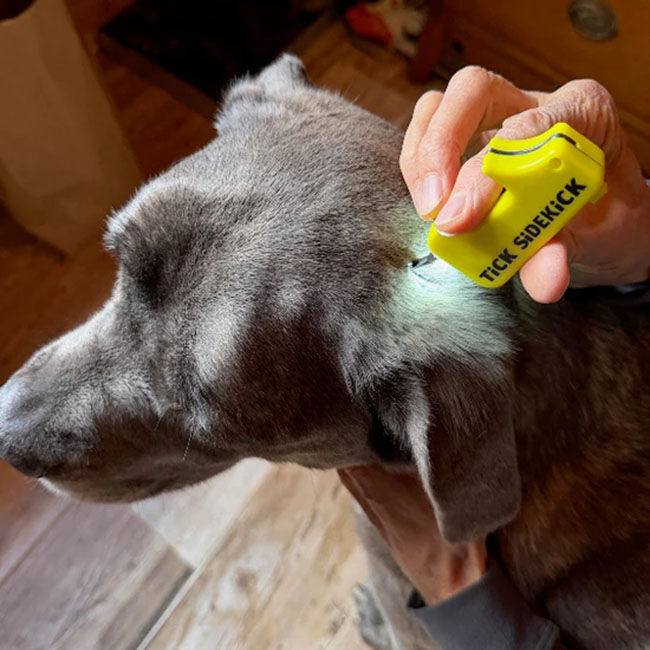 TiCK MiTT TiCK SiDEKiCK image number null