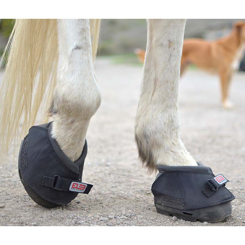 Cavallo Entry Level Boot ELB Hoof Boot The Cheshire Horse