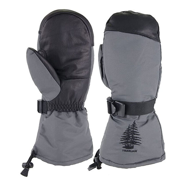 Treeline Ridge Ski Mitt image number null