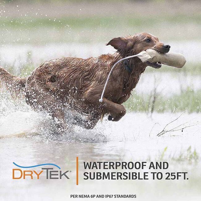 SportDOG SportTrainer 575 - Black image number null