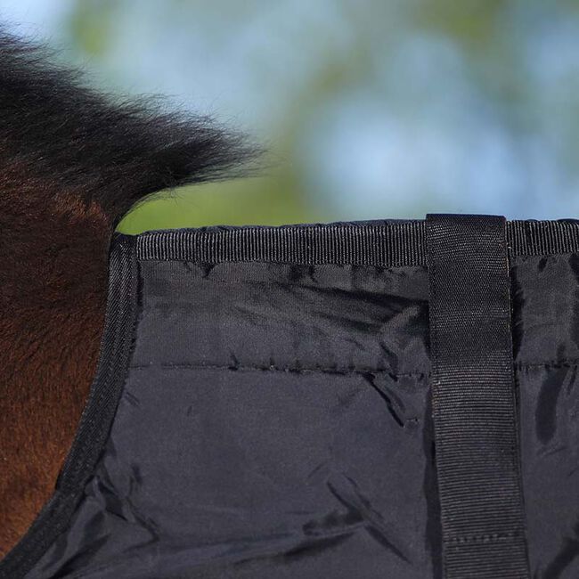 Schneiders DuraNylon Expandable Foal Stable Blanket The Cheshire Horse