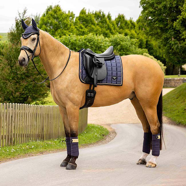 LeMieux Loire Classic Dressage Pad - Dusk Blue image number null