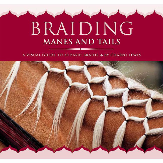 Braiding Manes And Tails: A Visual Guide to 30 Basic Braids image number null