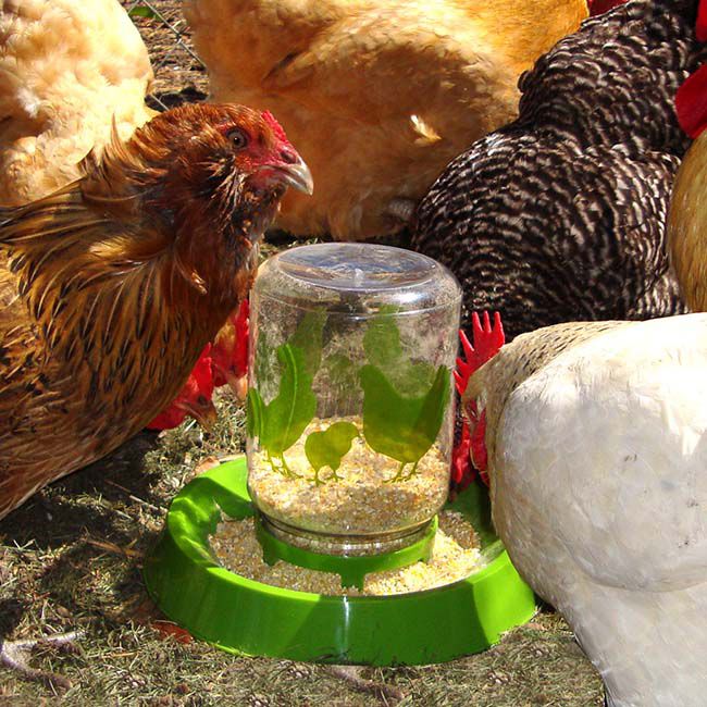 Lixit Farm Babies Chick Feeder or Waterer - 32 oz image number null