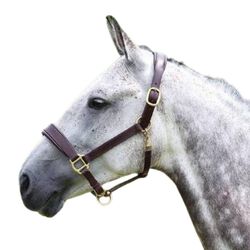 Shires Blenheim Leather Travel Headcollar