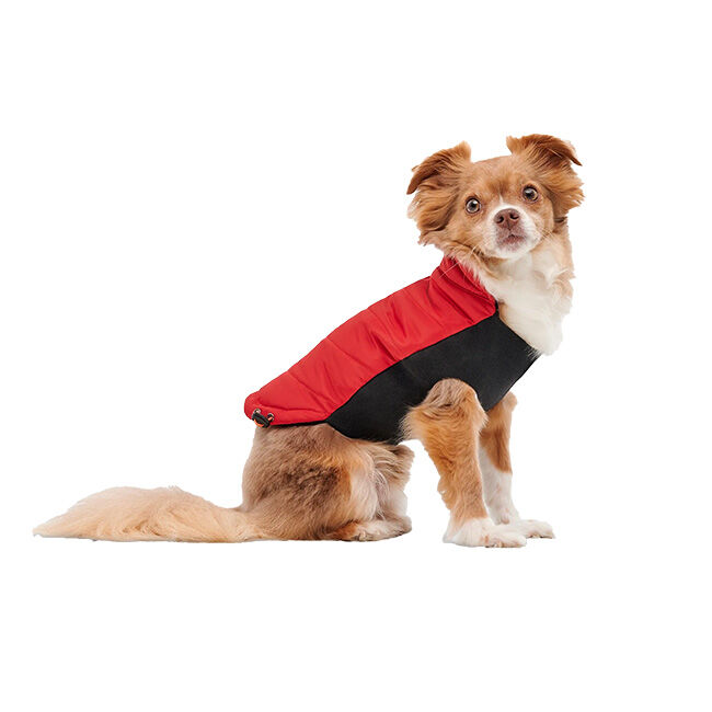 Goo-eez Mock Neck Signature Wrap Jacket for Dogs image number null