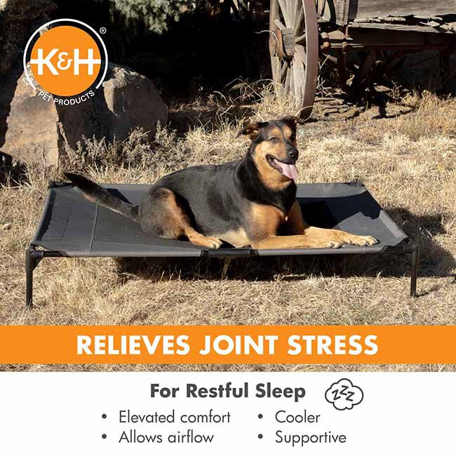 K&H Pet Products Elevated Pet Bed - Navy image number null