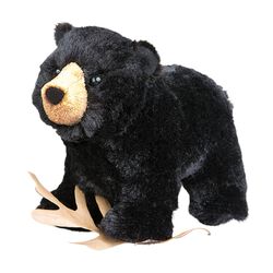 Douglas Morley the Black Bear