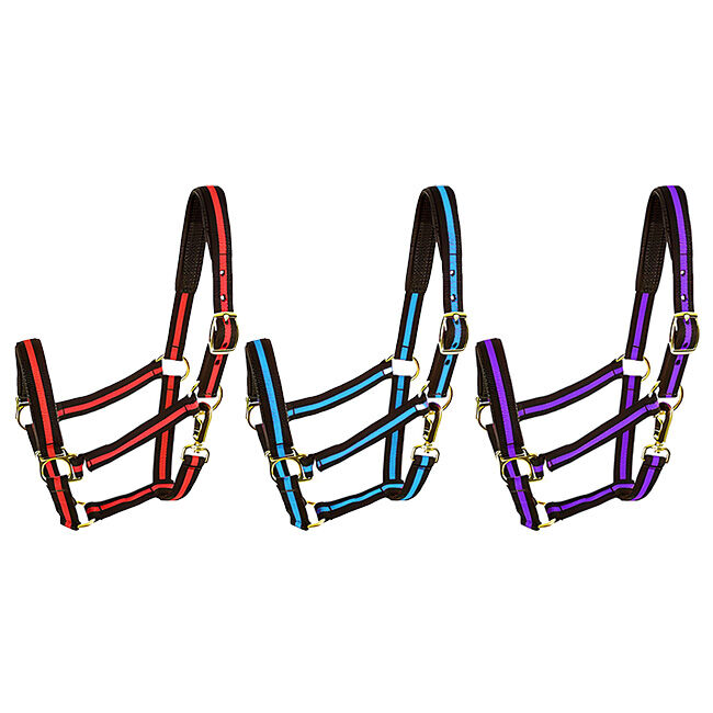Intrepid No Rub Padded Striped Halter Yearling-Pony image number null