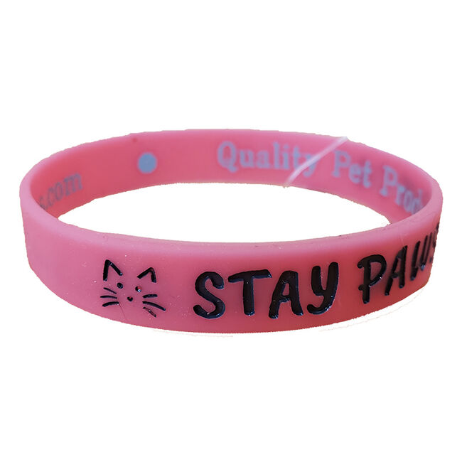 Wild Meadow Farms Fur Baby Bands ""Stay Pawsitive"" Pink" image number null