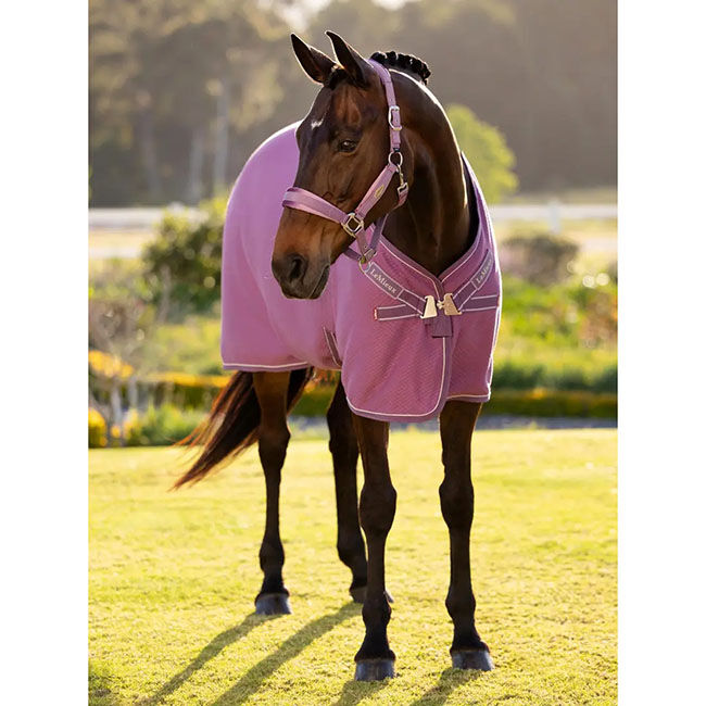 LeMieux Kudos Bamboo Cooler - Mallow image number null