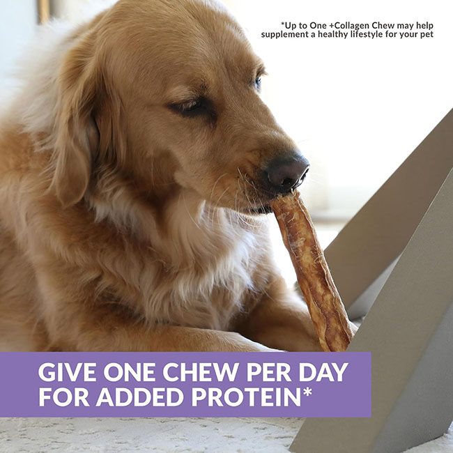 Wild Eats Collagen Chews for Dogs - Rawhide Alternative - Collagen & Duck Rolls image number null
