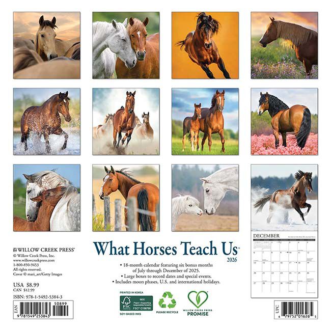Willow Creek Press 2026 Mini Wall Calendar - What Horses Teach Us image number null