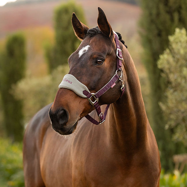 LeMieux Vogue Halter & Lead Rope - Damson image number null