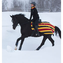 Horseware Rambo Newmarket Competition Sheet