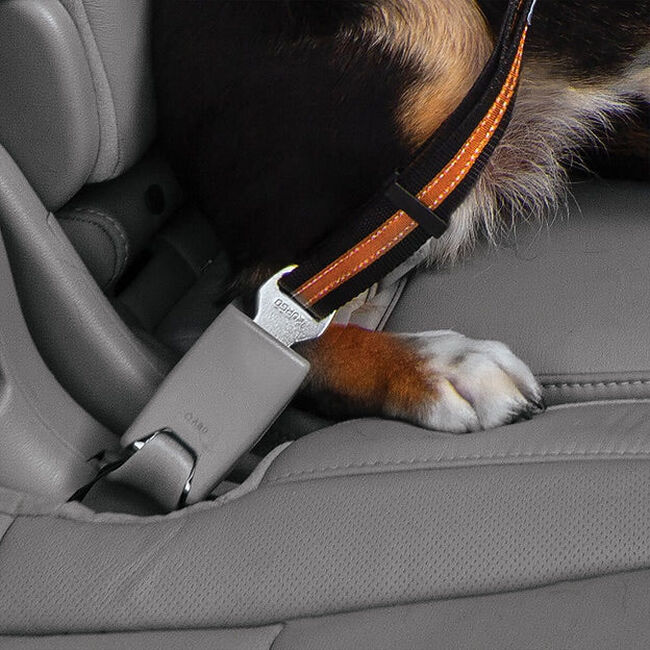 Kurgo Direct to Seatbelt Swivel Tether image number null
