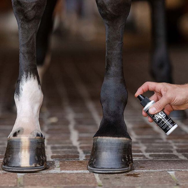 EquiFit AgSilver Daily Strength CleanSpray - 4 oz image number null