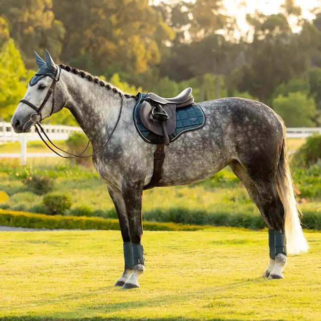 LeMieux Loire Classic All Purpose Pad - Jungle image number null