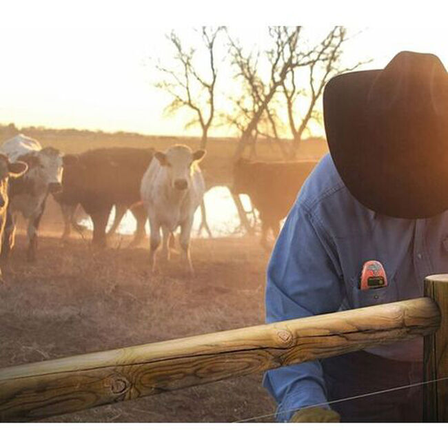 Gallagher Fence Volt/Current Meter & Fault Finder image number null