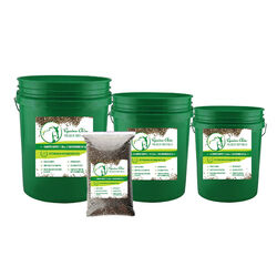 Equine Chia