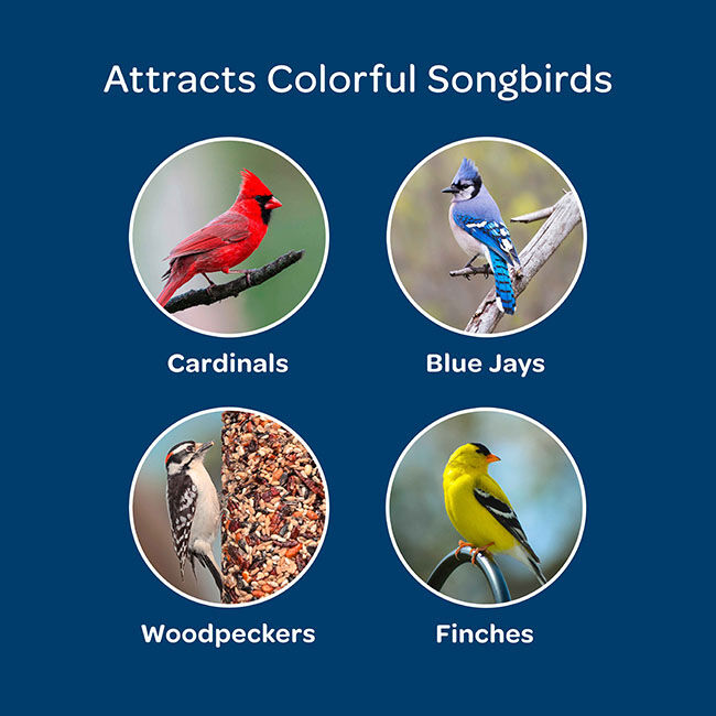 Kaytee Birders' Paradise Blend image number null