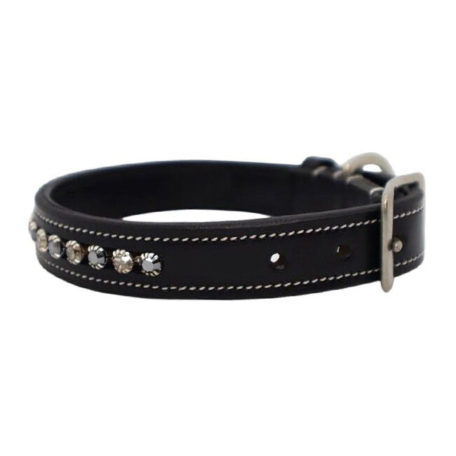 KL Select Crystal Dog Collar - Impulsion image number null