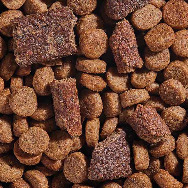 Open Farm Epic Blend High Protein Dog Food - Chicken & Superfood Recipe image number null