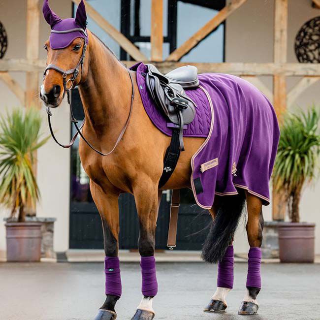 Horseware Amigo Ear Net image number null