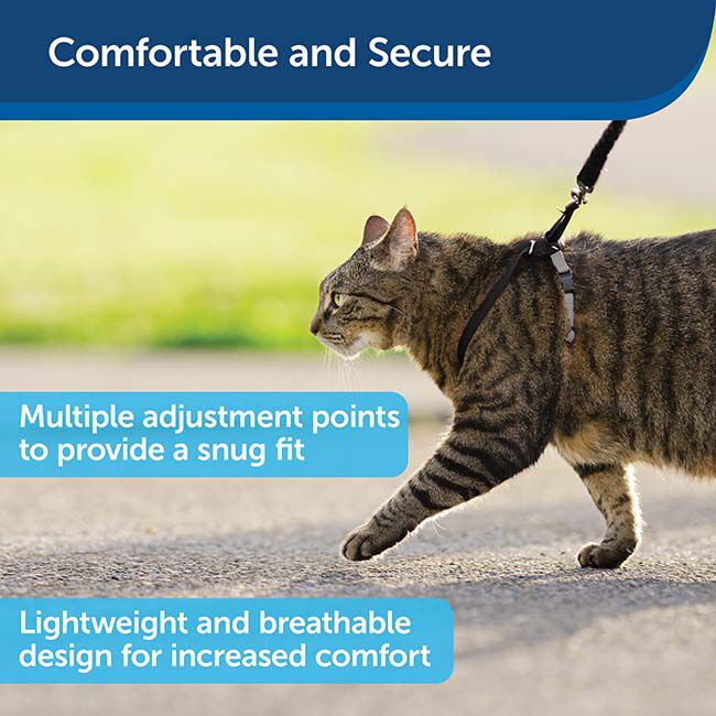 PetSafe Come with Me Kitty Harness & Bungee Leash - Black/Silver image number null