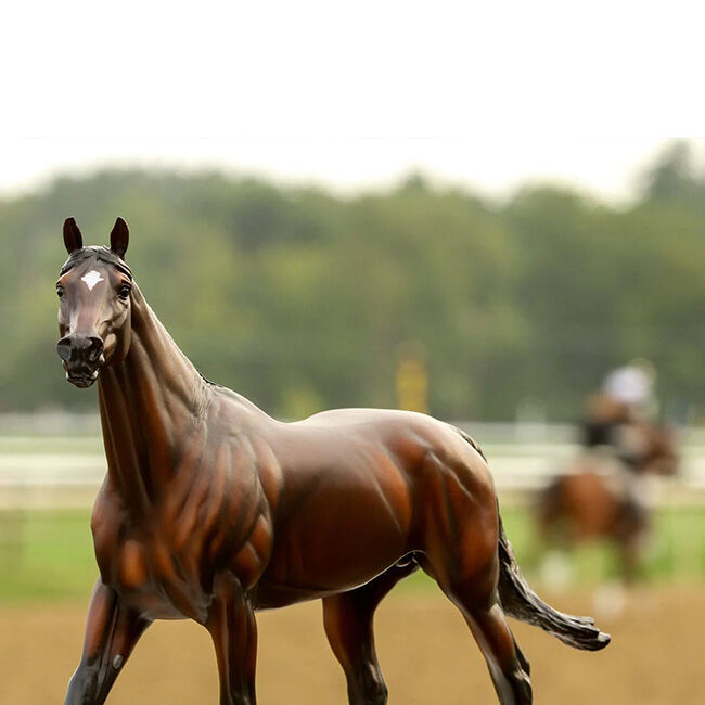 Breyer Cody's Wish image number null